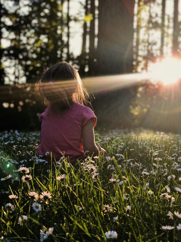 Ein Kind sitzt mit dem Rücken zur Kamera in einer Wiese mit weißen Gänseblümchen. Die tief stehende Sonne scheint durch die Bäume im Hintergrund.