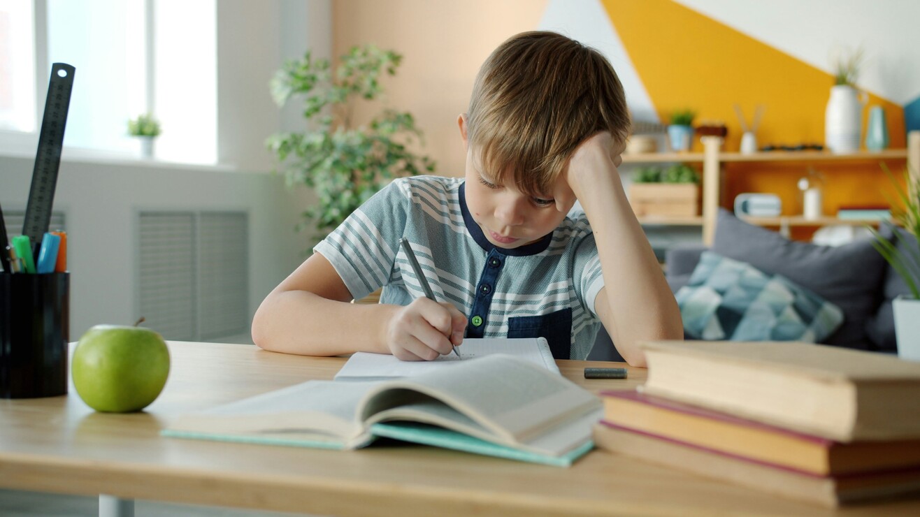 Junge sitzt konzentriert an einem Schreibtisch und schreibt in ein Heft; im Hintergrund steht ein Bücherregal.