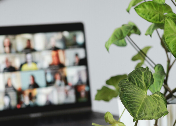 Im Vordergrund sind grüne Blätter einer Zimmerpflanze zu sehen. Im unscharfen Hintergrund zeigt ein Laptop eine Videokonferenz mit mehreren Personen.